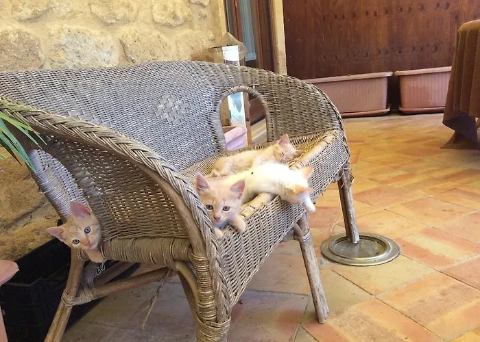 Hotel Villa Demetra 4*